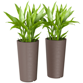 Metal Planter Box (title: default title)